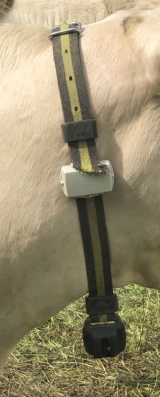 laidunna.fi paikkannin kaulapannassa